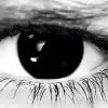 WickedEyez Contacts Black Out