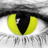 WickedEyez Contacts Yellow Cat