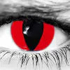 WickedEyez Contacts Red Cat