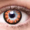 WickedEyez Chic Contacts Hazel Autumn